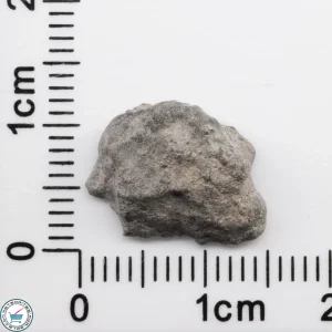 Bechar 003 Lunar Meteorite 1.16g