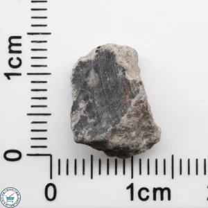 Bechar 003 Lunar Meteorite 1.19g