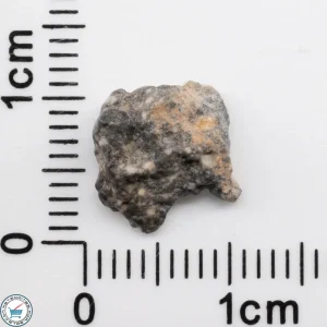Bechar 003 Lunar Meteorite 0.60g