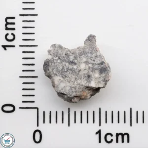 Bechar 003 Lunar Meteorite 0.60g