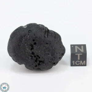 Bicolite Impactite 25.6g