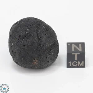 Bicolite Impactite 24.0g