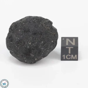 Bicolite Impactite 17.9g