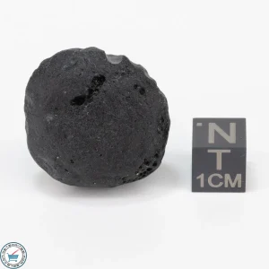 Bicolite Impactite 14.0g