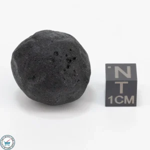 Bicolite Impactite 17.9g