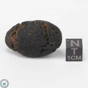 Bicolite Impactite 15.0g