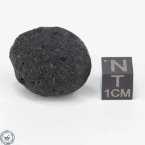 Bicolite Impactite 10.9g