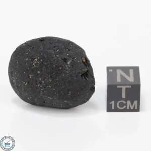 Bicolite Impactite 9.1g