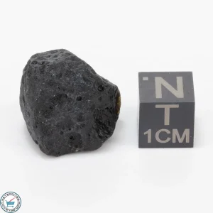 Bicolite Impactite 6.4g