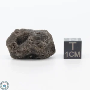 Darwin Glass 7.8g