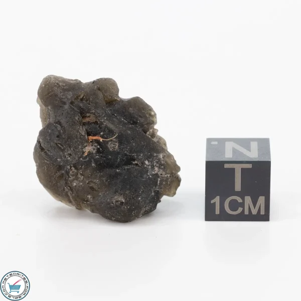 Darwin Glass 5.8g