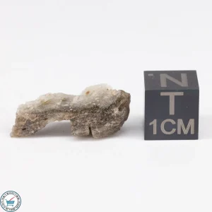 Darwin Glass 1.0g
