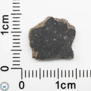 NWA 11228 Lunar Meteorite Slice 0.37g