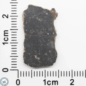 NWA 11228 Lunar Meteorite Slice 0.77g