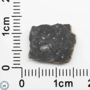 NWA 11228 Lunar Meteorite Slice 0.42g