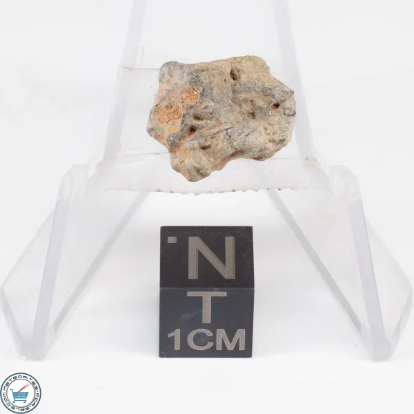 NWA 11228 Lunar Meteorite End-Cut 1.54g