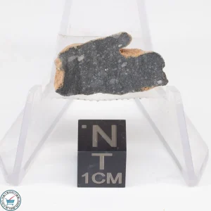 NWA 11228 Lunar Meteorite End-Cut 2.31g