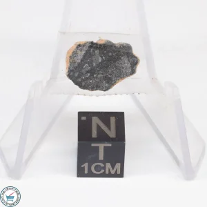 NWA 11228 Lunar Meteorite End-Cut 0.88g