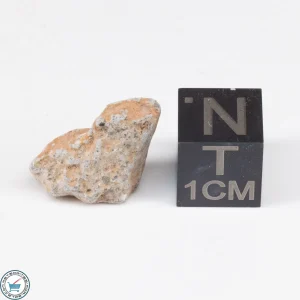 NWA 11228 Lunar Meteorite  1.21g