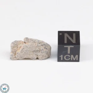 NWA 11228 Lunar Meteorite  1.57g