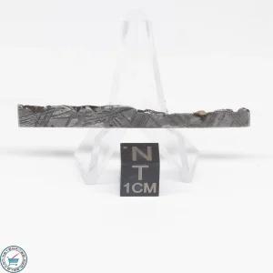 Muonionalusta Meteorite  4.0g