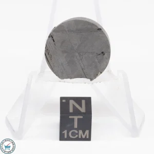 Muonionalusta Meteorite  10.1g