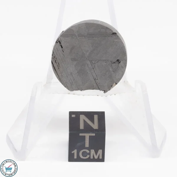 Muonionalusta Meteorite  10.1g