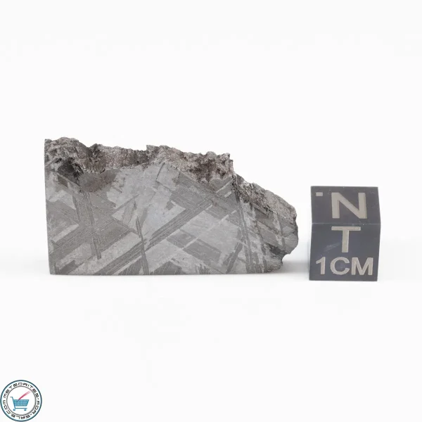 Muonionalusta Meteorite  21.1g
