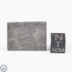 Muonionalusta Meteorite  10.1g