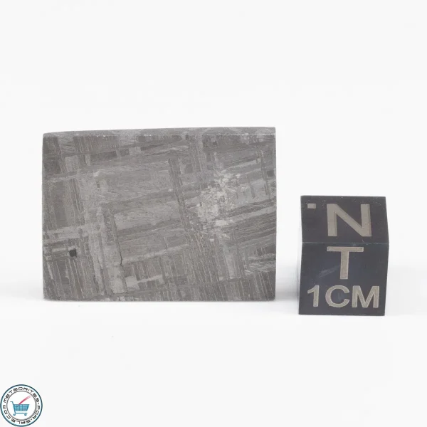 Muonionalusta Meteorite  10.1g
