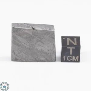 Muonionalusta Meteorite  19.8g