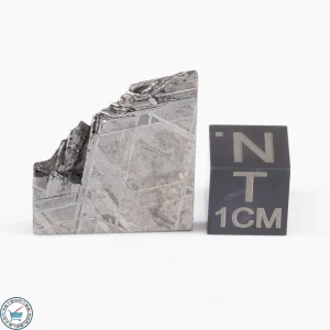 Muonionalusta Meteorite  6.0g