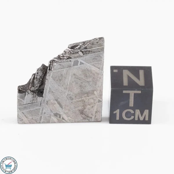 Muonionalusta Meteorite  6.0g