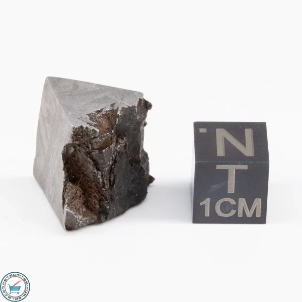 Muonionalusta Meteorite  12.9g