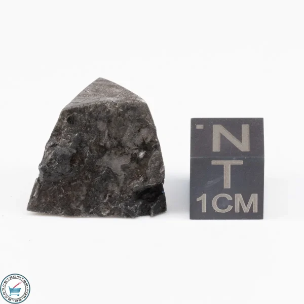 Muonionalusta Meteorite  9.4g
