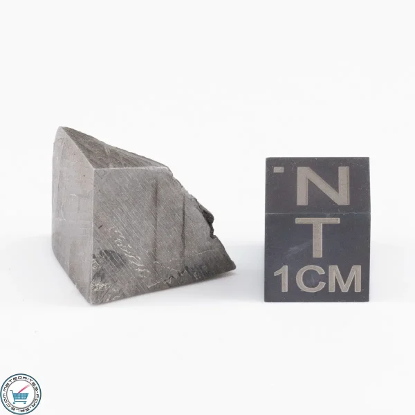 Muonionalusta Meteorite  9.4g