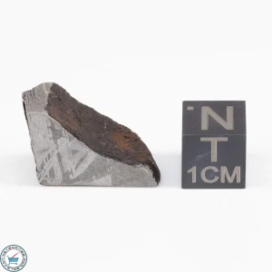 Muonionalusta Meteorite  11.1g
