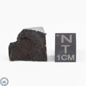 Muonionalusta Meteorite  5.4g