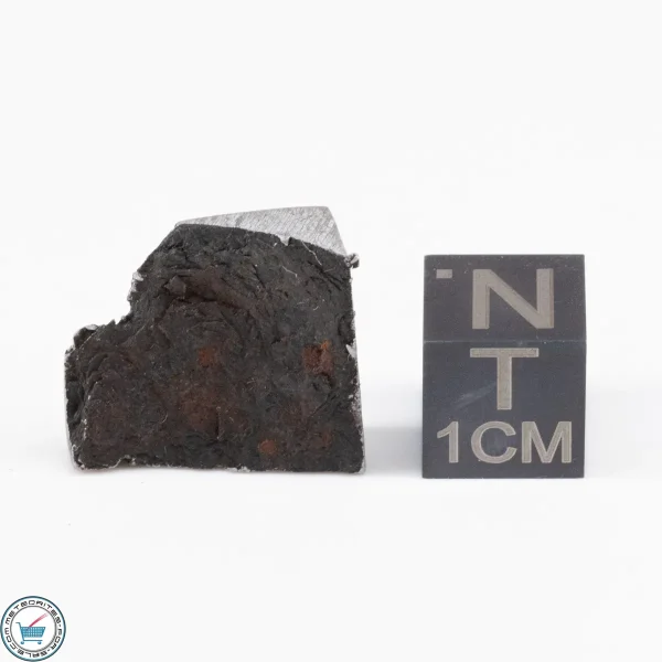 Muonionalusta Meteorite  5.4g