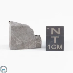 Muonionalusta Meteorite  5.4g