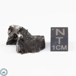 Muonionalusta Meteorite  6.3g