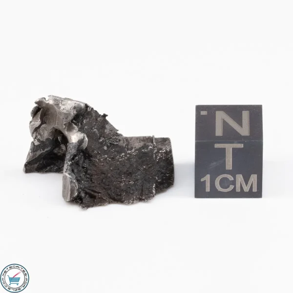 Muonionalusta Meteorite  6.3g