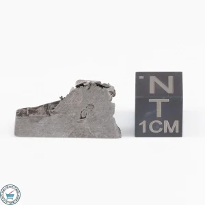 Muonionalusta Meteorite  6.3g