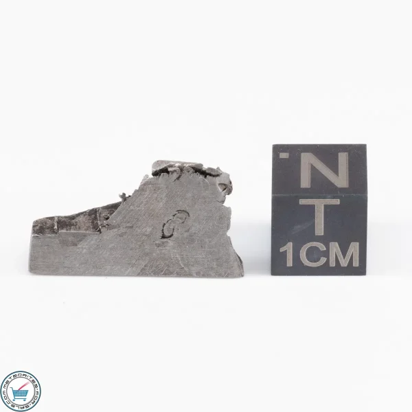 Muonionalusta Meteorite  6.3g