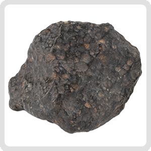 NWA 11343 Meteorite