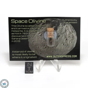 space olivine diogenite meteorite