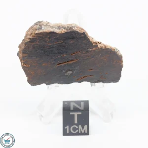Pierceville Iron Meteorite 13.9g End-Cut
