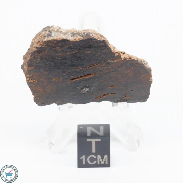 Pierceville Iron Meteorite 13.9g End-Cut