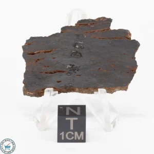 Pierceville Iron Meteorite 8.6g Slice