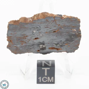 Pierceville Iron Meteorite 6.8g Slice